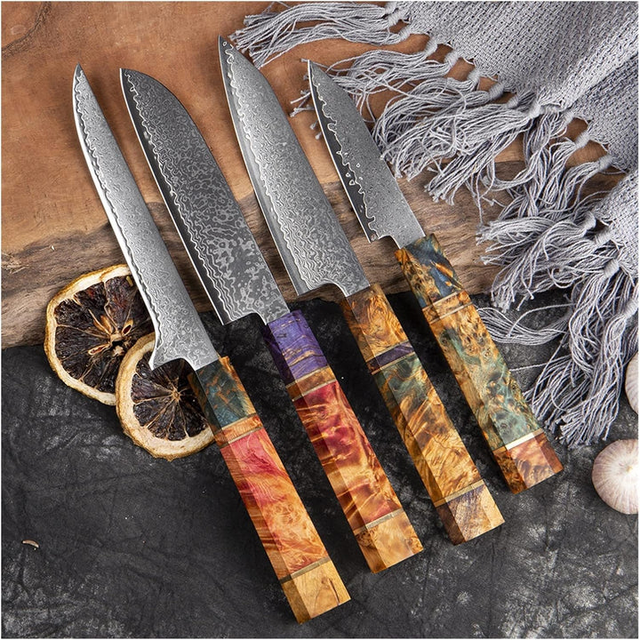 SAKUTO (久拓) Japanese Damascus Steel Kitchen Knife With Coloured Octagonal Handle
