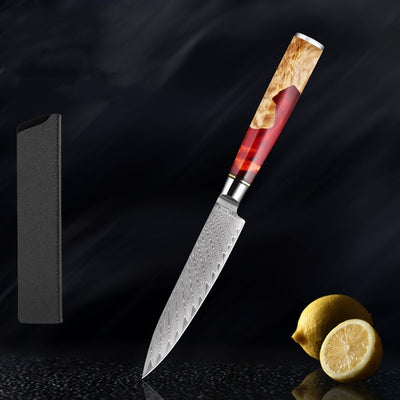 SAKUTO (作東) Japanese Damascus Steel Kitchen Knife Set With Resin Handle