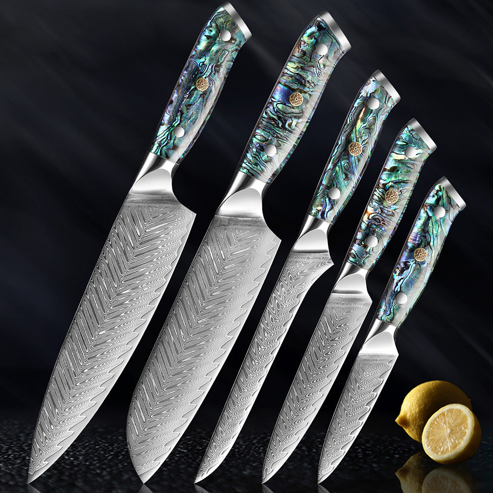 Okugai (おくがい) Damascus Steel Kitchen Knife with Abalone Handle