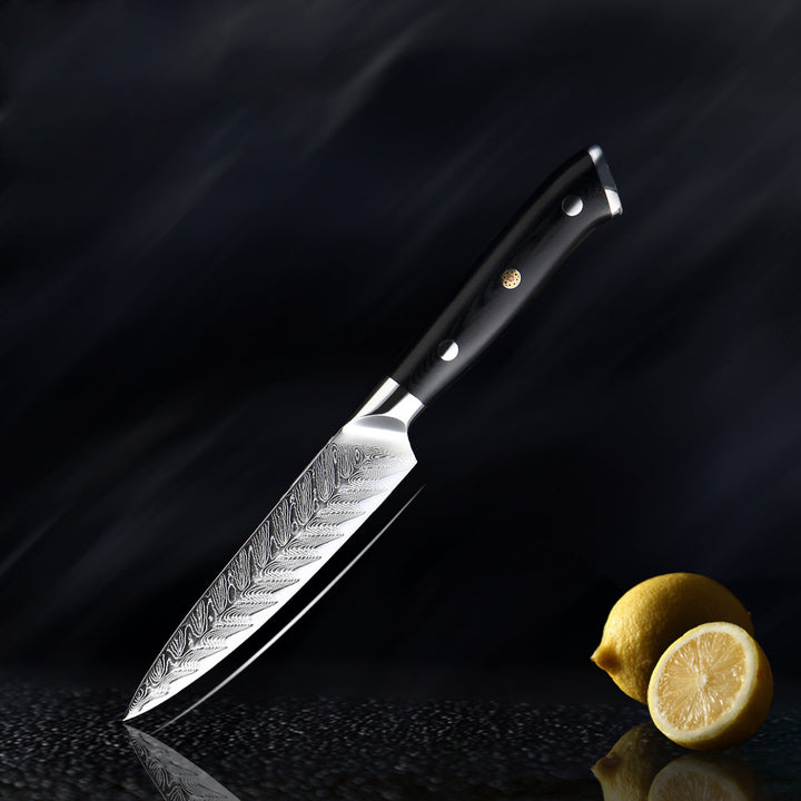 Daichi (だいち) Damascus VG10 Steel Kitchen Knives Set
