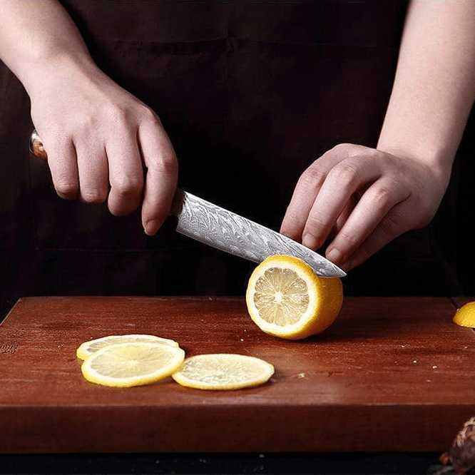 Sakuto Japanese Knives Chef Knife Set Best Japanese Damascus Knives Ultra Sharp Blade